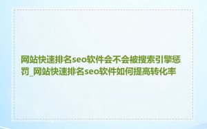 网站快速排名seo软件会不会被搜索引擎惩罚_网站快速排名seo软件如何提高转化率