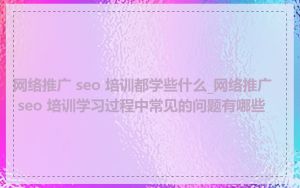 网络推广 seo 培训都学些什么_网络推广 seo 培训学习过程中常见的问题有哪些