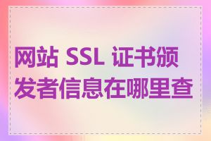 网站 SSL 证书颁发者信息在哪里查看