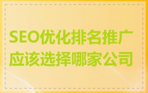 SEO优化排名推广应该选择哪家公司