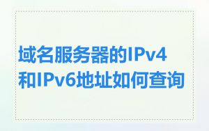 域名服务器的IPv4和IPv6地址如何查询