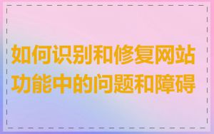 如何识别和修复网站功能中的问题和障碍