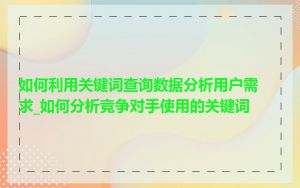 如何利用关键词查询数据分析用户需求_如何分析竞争对手使用的关键词