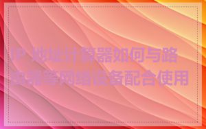 IP 地址计算器如何与路由器等网络设备配合使用
