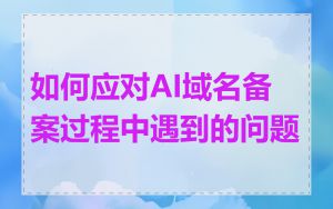 如何应对AI域名备案过程中遇到的问题
