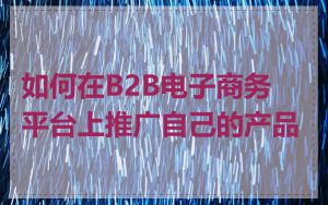如何在B2B电子商务平台上推广自己的产品