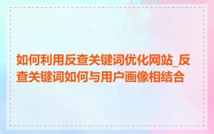如何利用反查关键词优化网站_反查关键词如何与用户画像相结合