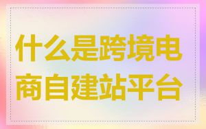 什么是跨境电商自建站平台