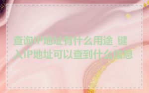 查询IP地址有什么用途_键入IP地址可以查到什么信息