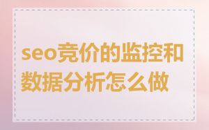 seo竞价的监控和数据分析怎么做