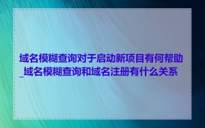 域名模糊查询对于启动新项目有何帮助_域名模糊查询和域名注册有什么关系