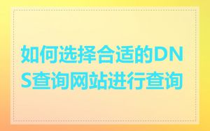 如何选择合适的DNS查询网站进行查询