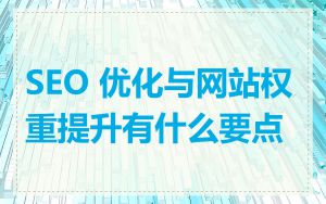 SEO 优化与网站权重提升有什么要点