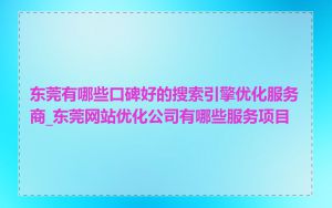 东莞有哪些口碑好的搜索引擎优化服务商_东莞网站优化公司有哪些服务项目