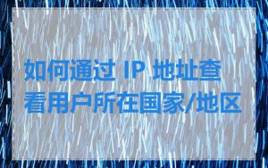 如何通过 IP 地址查看用户所在国家/地区