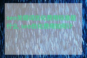 seo关键词优化费用标准是什么_seo优化费用如何计算