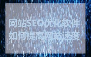 网站SEO优化软件如何提高网站速度