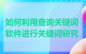 如何利用查询关键词软件进行关键词研究