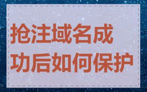 抢注域名成功后如何保护