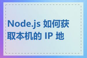 Node.js 如何获取本机的 IP 地址