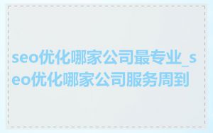 seo优化哪家公司最专业_seo优化哪家公司服务周到