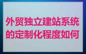 外贸独立建站系统的定制化程度如何