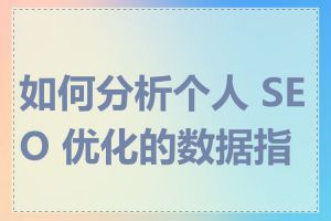 如何分析个人 SEO 优化的数据指标