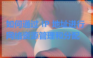 如何通过 IP 地址进行网络资源管理和分配