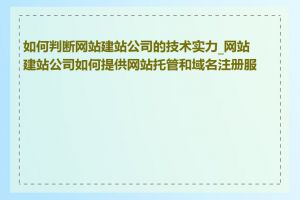 如何判断网站建站公司的技术实力_网站建站公司如何提供网站托管和域名注册服务