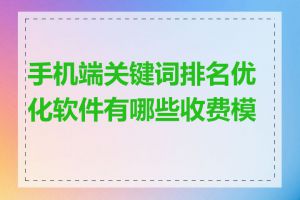 手机端关键词排名优化软件有哪些收费模式