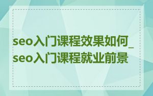 seo入门课程效果如何_seo入门课程就业前景