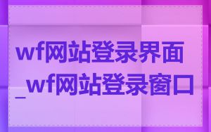 wf网站登录界面_wf网站登录窗口