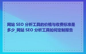 网站 SEO 分析工具的价格与收费标准是多少_网站 SEO 分析工具如何定制报告