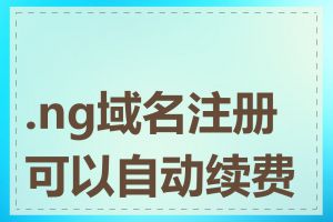 .ng域名注册可以自动续费吗