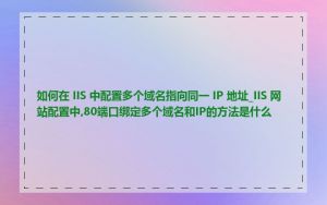 如何在 IIS 中配置多个域名指向同一 IP 地址_IIS 网站配置中,80端口绑定多个域名和IP的方法是什么