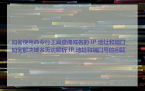 如何使用命令行工具查询域名的 IP 地址和端口_如何解决域名无法解析 IP 地址和端口号的问题