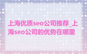 上海优质seo公司推荐_上海seo公司的优势在哪里