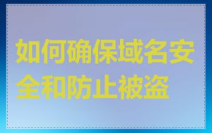 如何确保域名安全和防止被盗