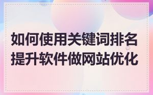 如何使用关键词排名提升软件做网站优化