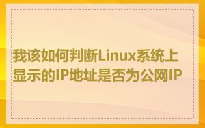 我该如何判断Linux系统上显示的IP地址是否为公网IP