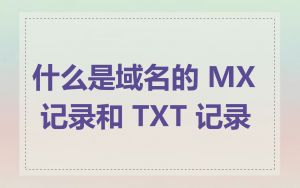什么是域名的 MX 记录和 TXT 记录