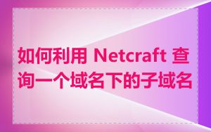 如何利用 Netcraft 查询一个域名下的子域名