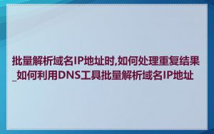 批量解析域名IP地址时,如何处理重复结果_如何利用DNS工具批量解析域名IP地址