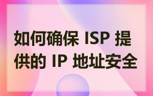 如何确保 ISP 提供的 IP 地址安全
