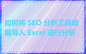 如何将 SEO 分析工具数据导入 Excel 进行分析