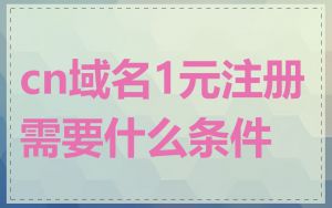 cn域名1元注册需要什么条件