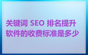 关键词 SEO 排名提升软件的收费标准是多少