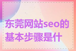 东莞网站seo的基本步骤是什么