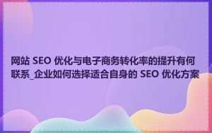 网站 SEO 优化与电子商务转化率的提升有何联系_企业如何选择适合自身的 SEO 优化方案