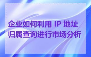 企业如何利用 IP 地址归属查询进行市场分析